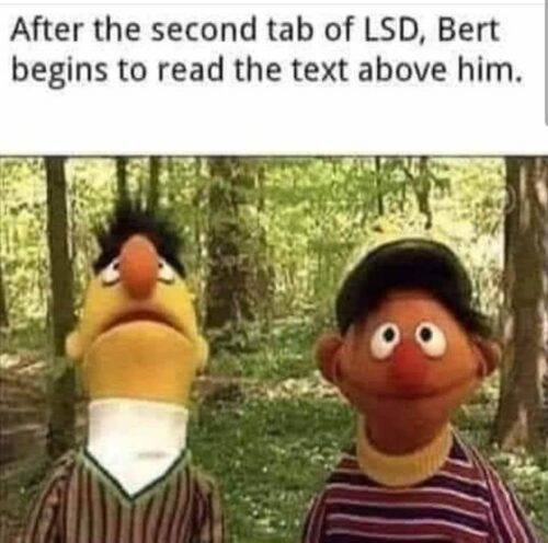584511261 25938446922424521 2859812104786754557 n