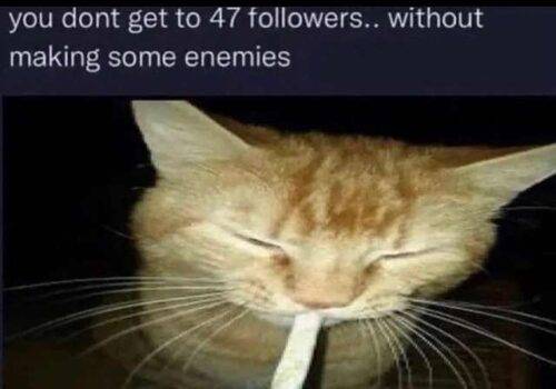 8n48ir2h3sge1.png