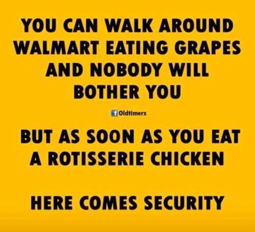 91028671 3144328695590864 1310548621141213184 n