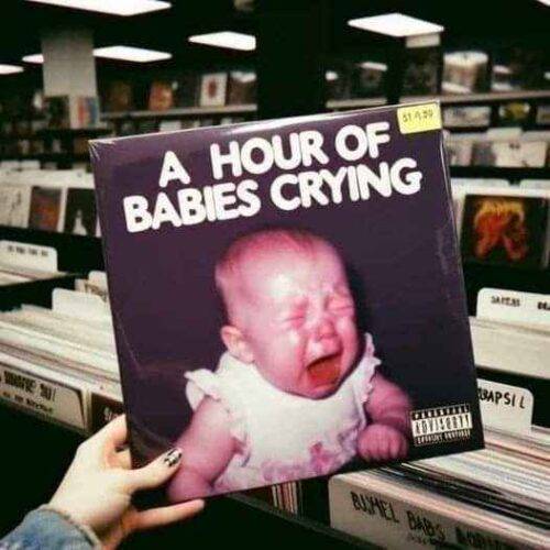 FB IMG 1732165585059