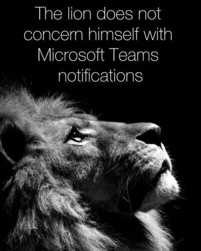 FB IMG 1748245443329