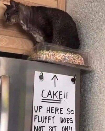 FB IMG 1750145585718