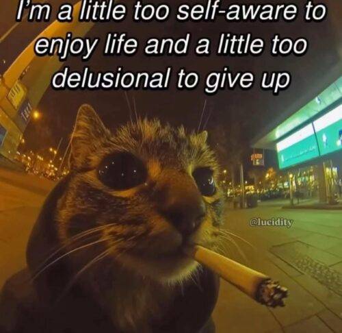 FB IMG 1750520153387