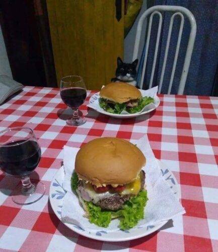 FB IMG 1751375526702