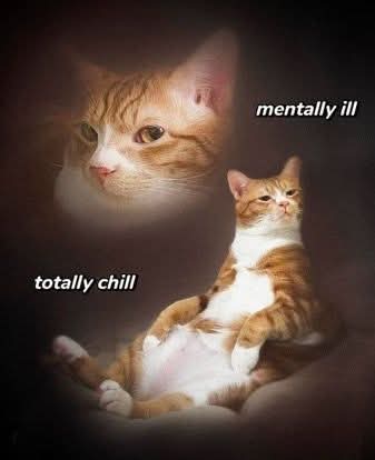 FB IMG 1751426462113