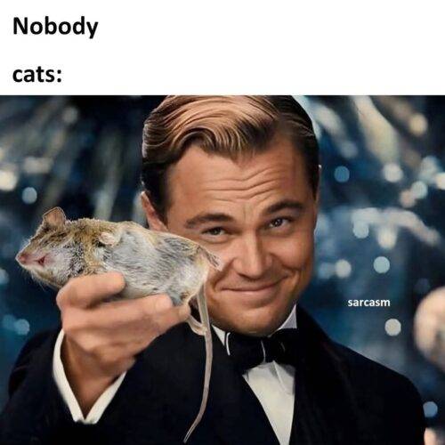 FB IMG 1752928496093