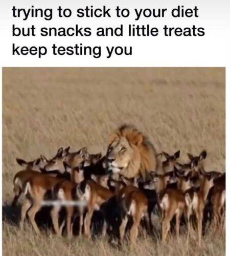 FB IMG 1752966545512