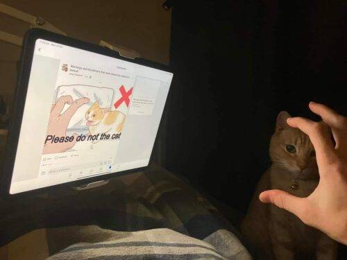 FB IMG 1753087223029