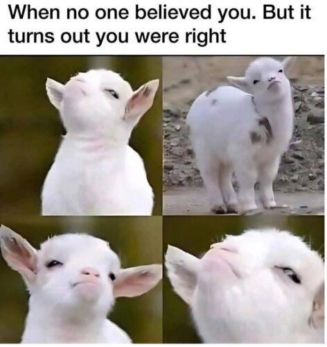 FB IMG 1758303061339