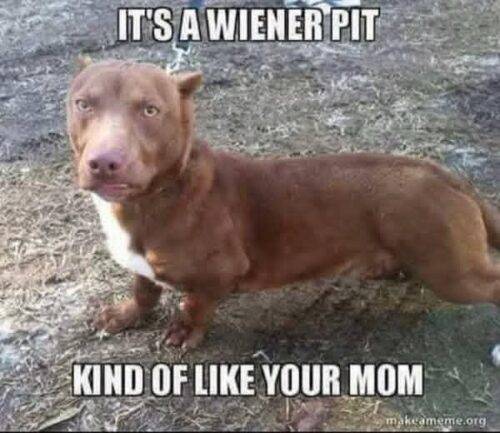 FB IMG 1758305052879