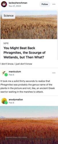 FB IMG 1760534002789