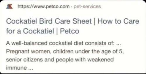 RDT 20250413 1955013132577864470375821