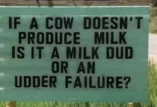 RDT 20250803 1934129197873845199738266