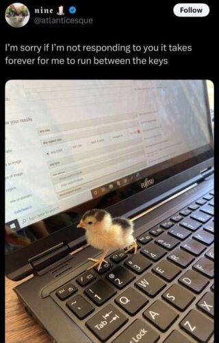 Recurrentjazzyextralarge ccae54 12369453