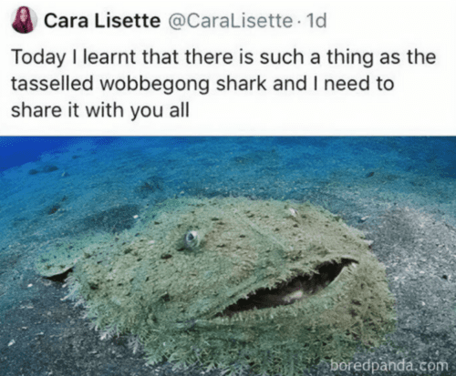 Screenshot-2025-01-02-123742