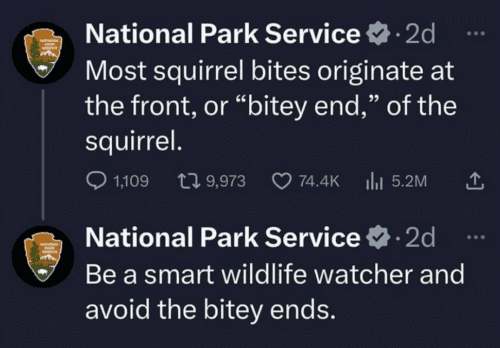 Screenshot-2025-01-06-200019