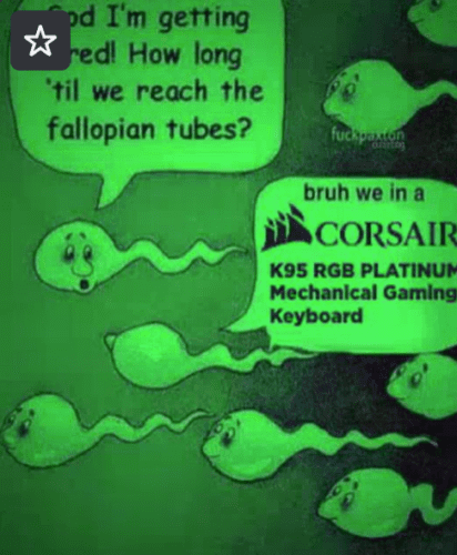 Screenshot-2025-01-07-222429