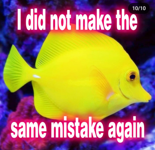 Screenshot 20240821-025106