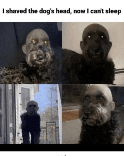 Screenshot 2025-07-11 at 10