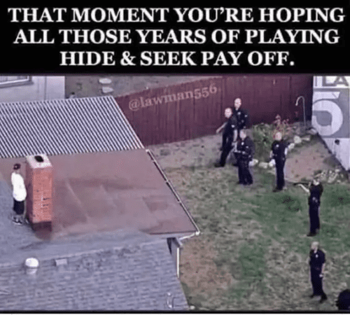 Screenshot 2025-09-23 at 14-53-42 1758468661472.webp WEBP Image 565 508 pixels