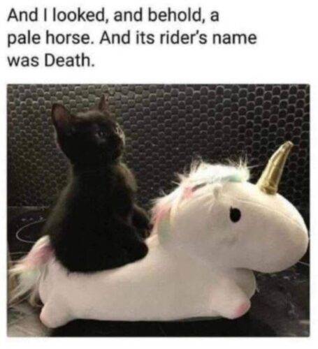 Screenshot 20250529 114838 Discord