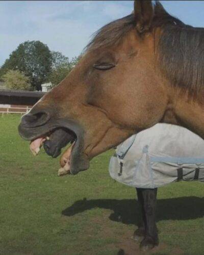 c68ec1ca-f963-474d-8c1b-c1e9e6aefbb1