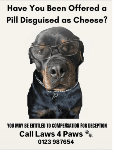 cheese pill