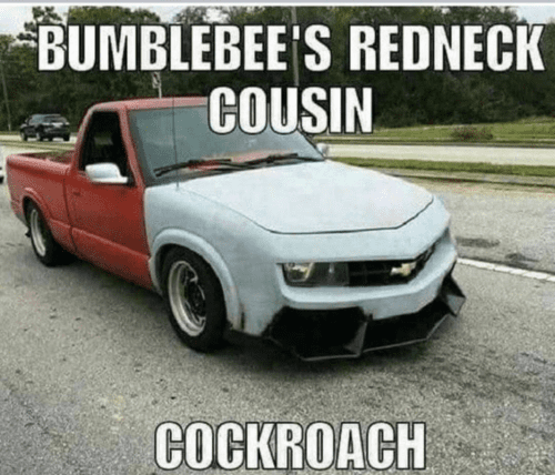 cockroach