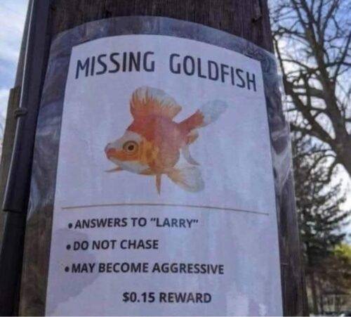 e78e61cc3c03c47148f3034ee5935416