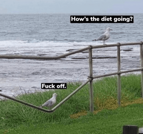 fuck diet