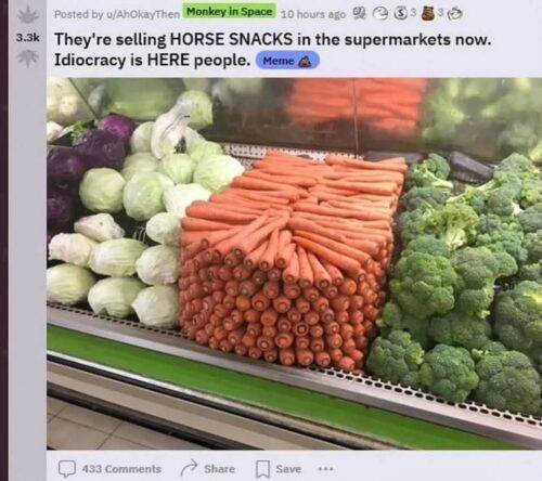 horse carrot
