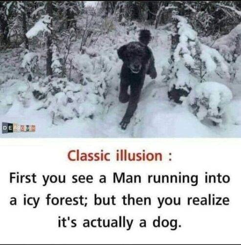 main-qimg-746b61e8fa7294c7d0992e7ea654d4aa