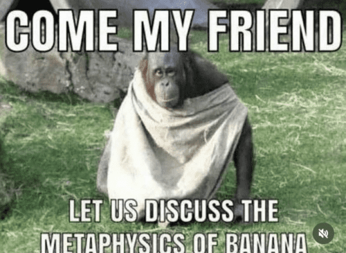 meta banana