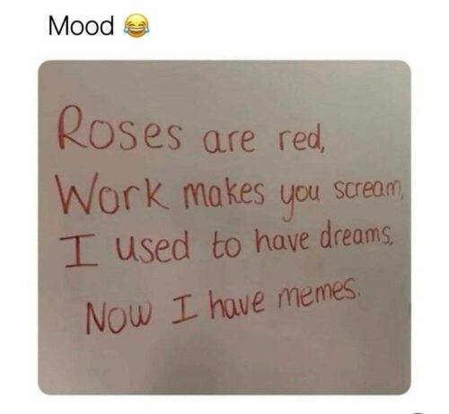 mood-roses-are-red-work-makes-scream-used-have-dreams-now-have-memes