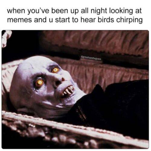 nosferatu memes