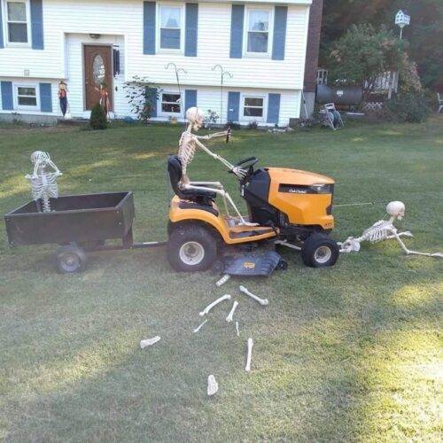 photo-skeleton-9111049