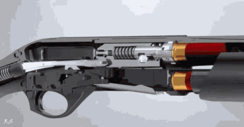 shotgun
