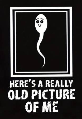 tumblr dc46004e256c67ffbee3ca5ac16e7bde 1b5784d9 400