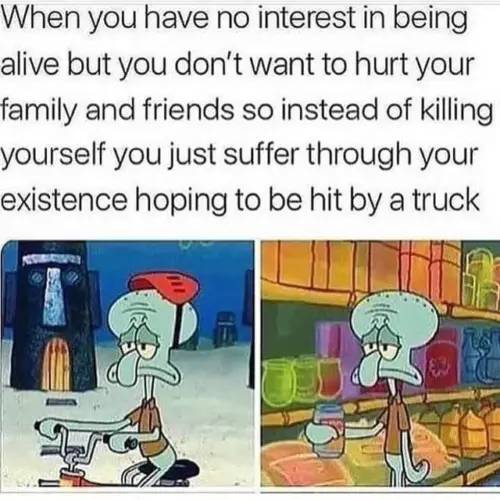 why-are-you-walking-in-the-road-v0-4ksk1ui8rfte1