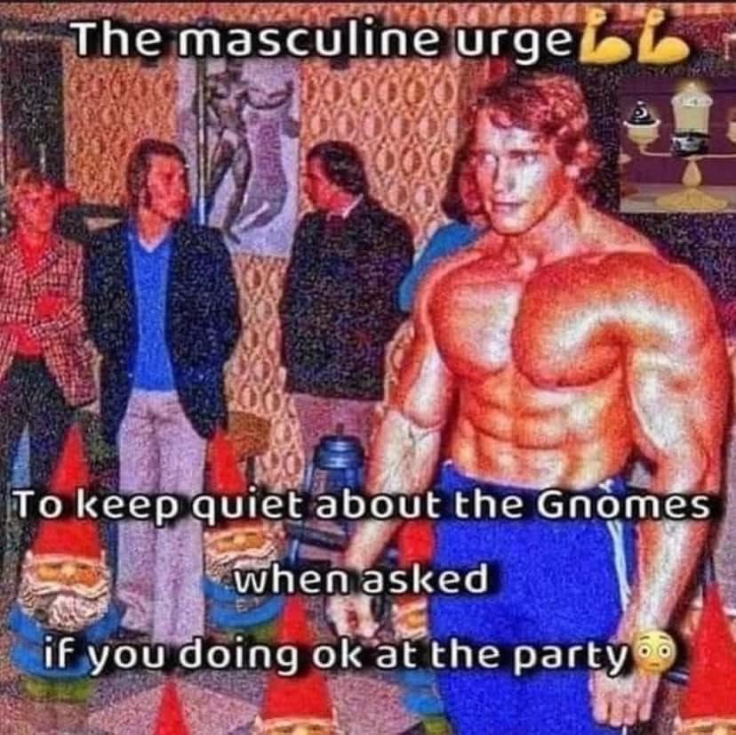 unknown gnomes